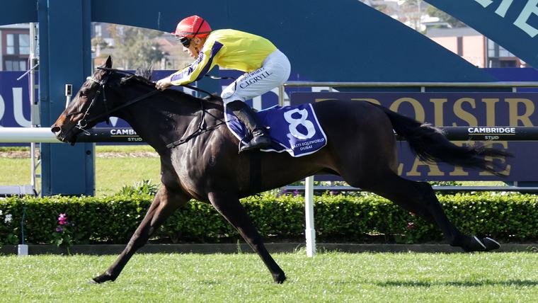 Wexford filly pounces to victory in Sunline Vase Joshua Smith, LOVERACING.NZ News Desk