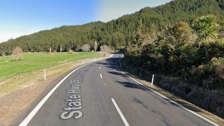 Driver hospitalised after truck crashes into tree in Coromandel