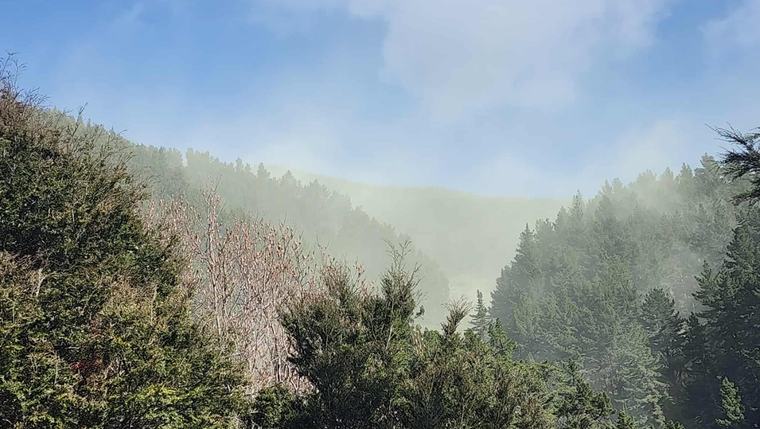 Is ‘Godzilla’ El Niño about to unleash a horrendous hayfever season?