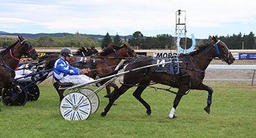 The Trials Report - Six of the Best The following horses have trialled pleasingly in recent weeks and now (4/9/26) they are heading back to the race track. Read More