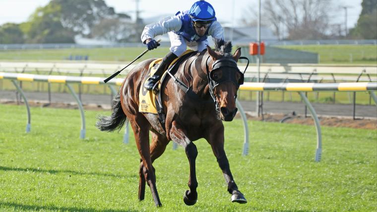 Thrilling finish to Taranaki staying feature Kevin Robertson, LOVERACING.NZ News Desk