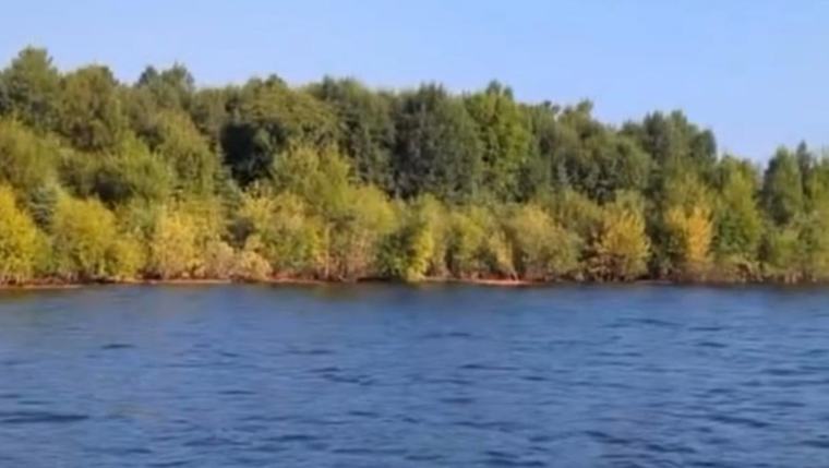 Watch: Mysterious floating island appears, then vanishes, on Canadian lake