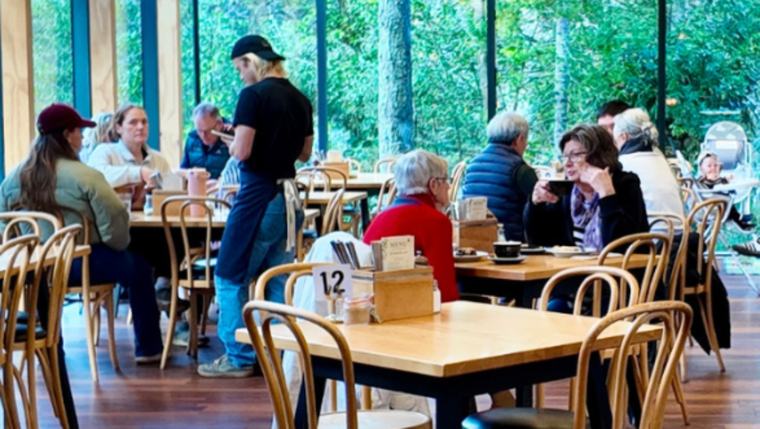 Beloved café collapses after 20 years owing nearly $660k