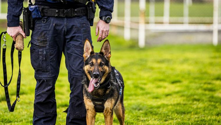 Police justified in using dog on young person at Bay of Plenty wharf