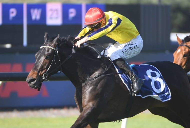 Craig Grylls’ standout season brings Jockey Of The Year award Duncan Perkinson