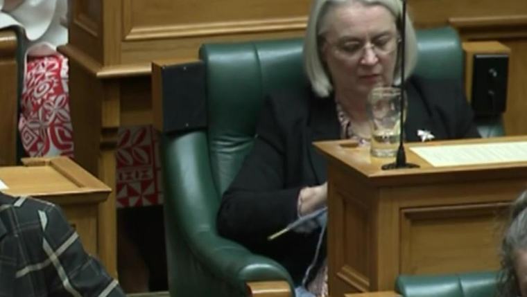 MP defends knitting in Parliament: ‘I find it calming and makes it easier to concentrate’