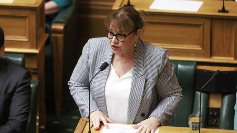 NZ First MP replies to questions about bill defining ‘man’ and ‘woman’ at select committee