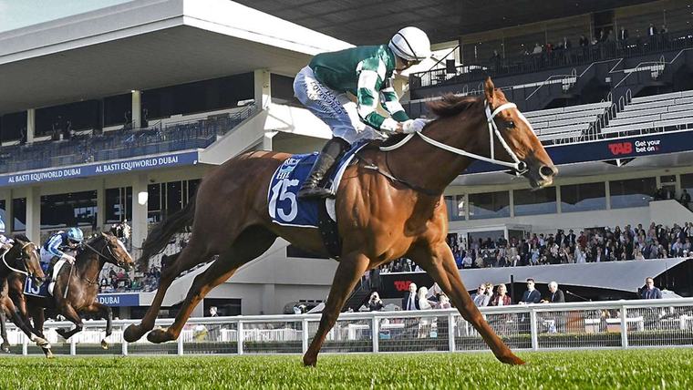 Unbeaten Well Written Crowned New Zealand Horse of the Year New Zealand Thoroughbred Racing