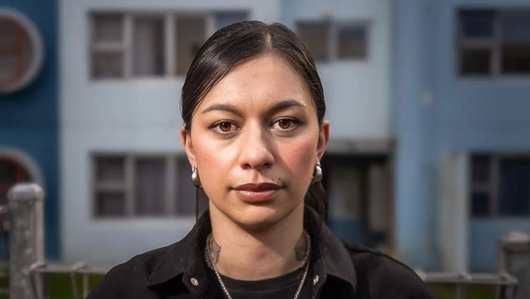 Green MP accused of spreading ‘false claims’ about Government MPs’ properties