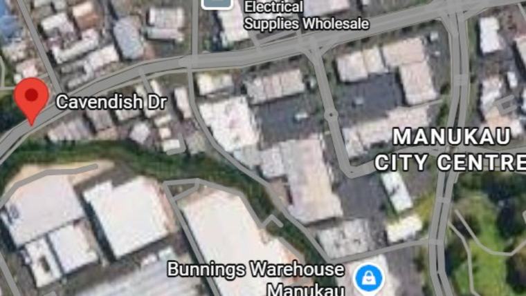 Police hunt pair after victim struck in face, car stolen in Manukau